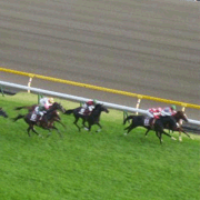 11/2(日) 第150回天皇賞（秋）（GI） Part4